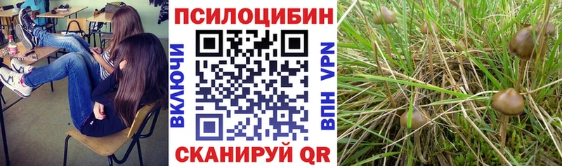 Псилоцибиновые грибы мухоморы Кудрово